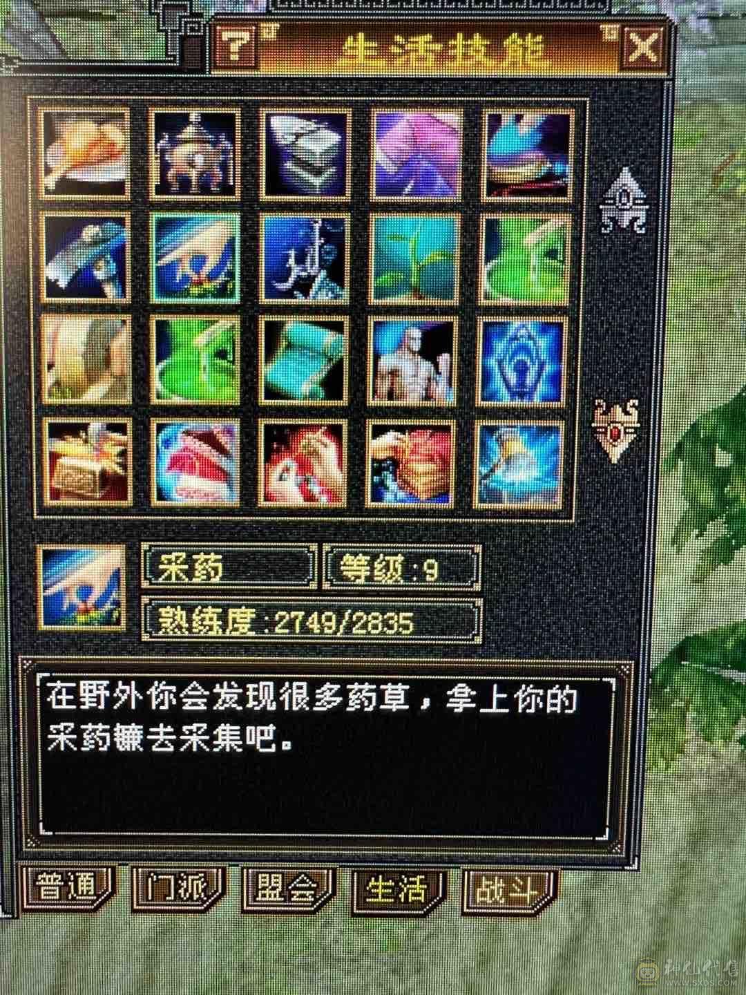 细节 5级6T   6橙神兽 暴力增伤星宿