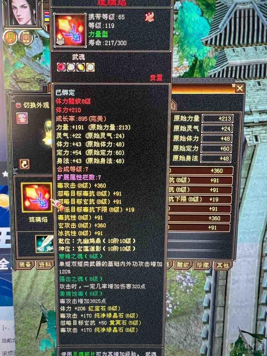 细节 5级6T   6橙神兽 暴力增伤星宿