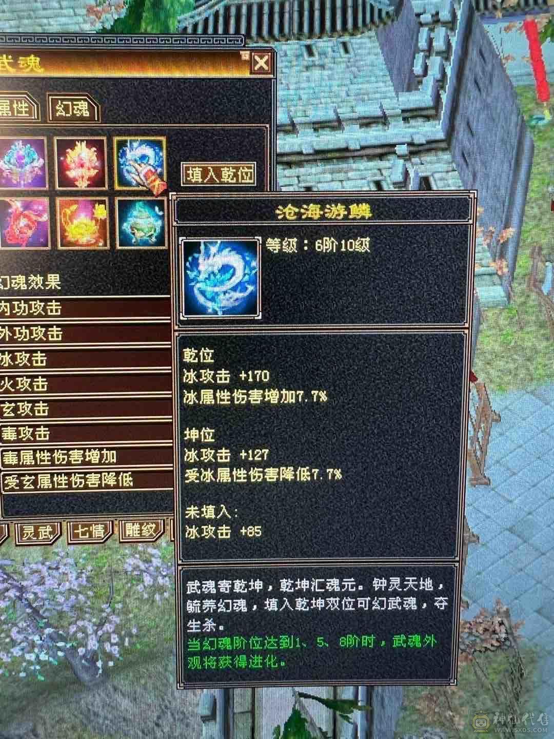 细节 5级6T   6橙神兽 暴力增伤星宿