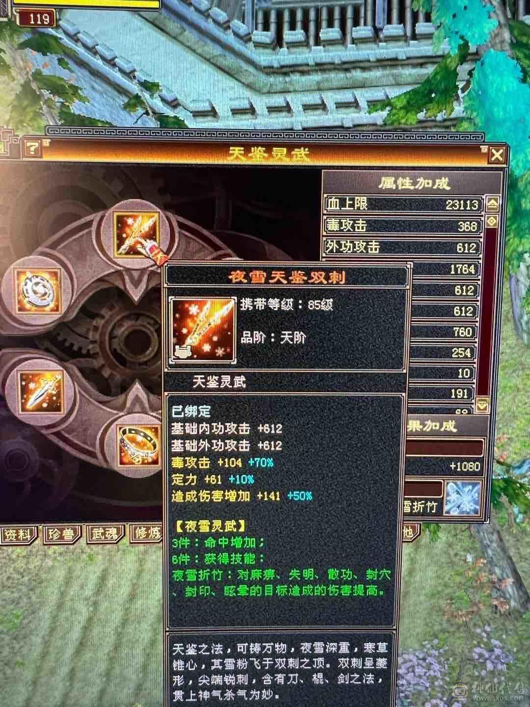细节 5级6T   6橙神兽 暴力增伤星宿
