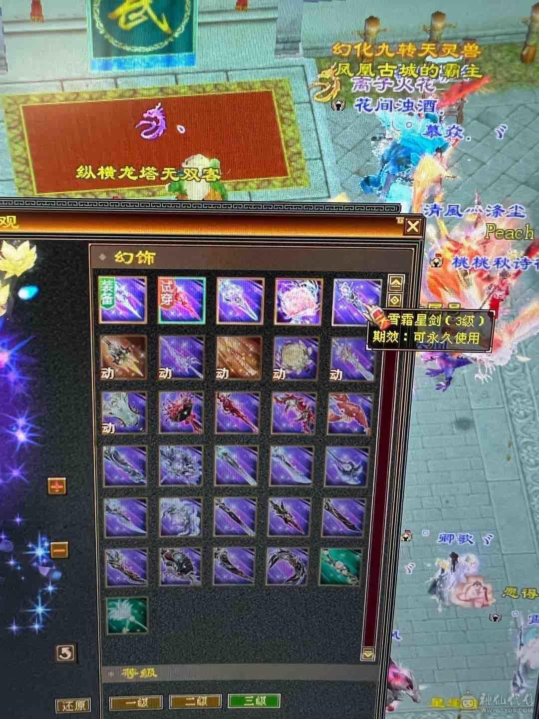 细节 5级6T   6橙神兽 暴力增伤星宿