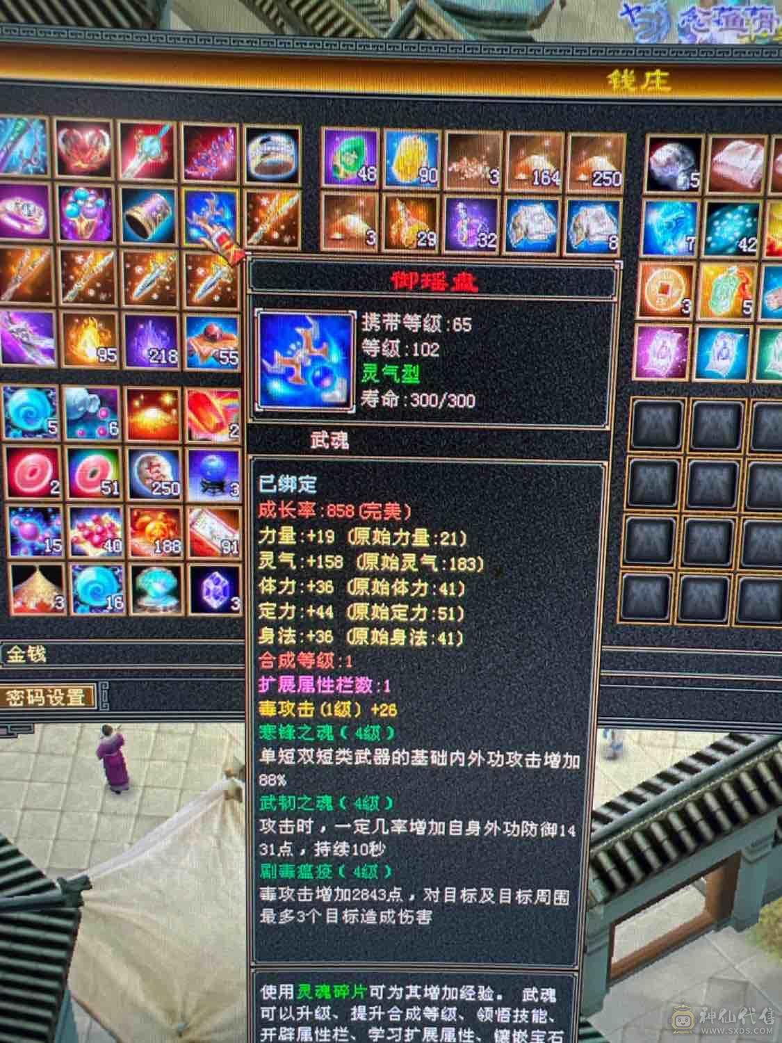细节 5级6T   6橙神兽 暴力增伤星宿