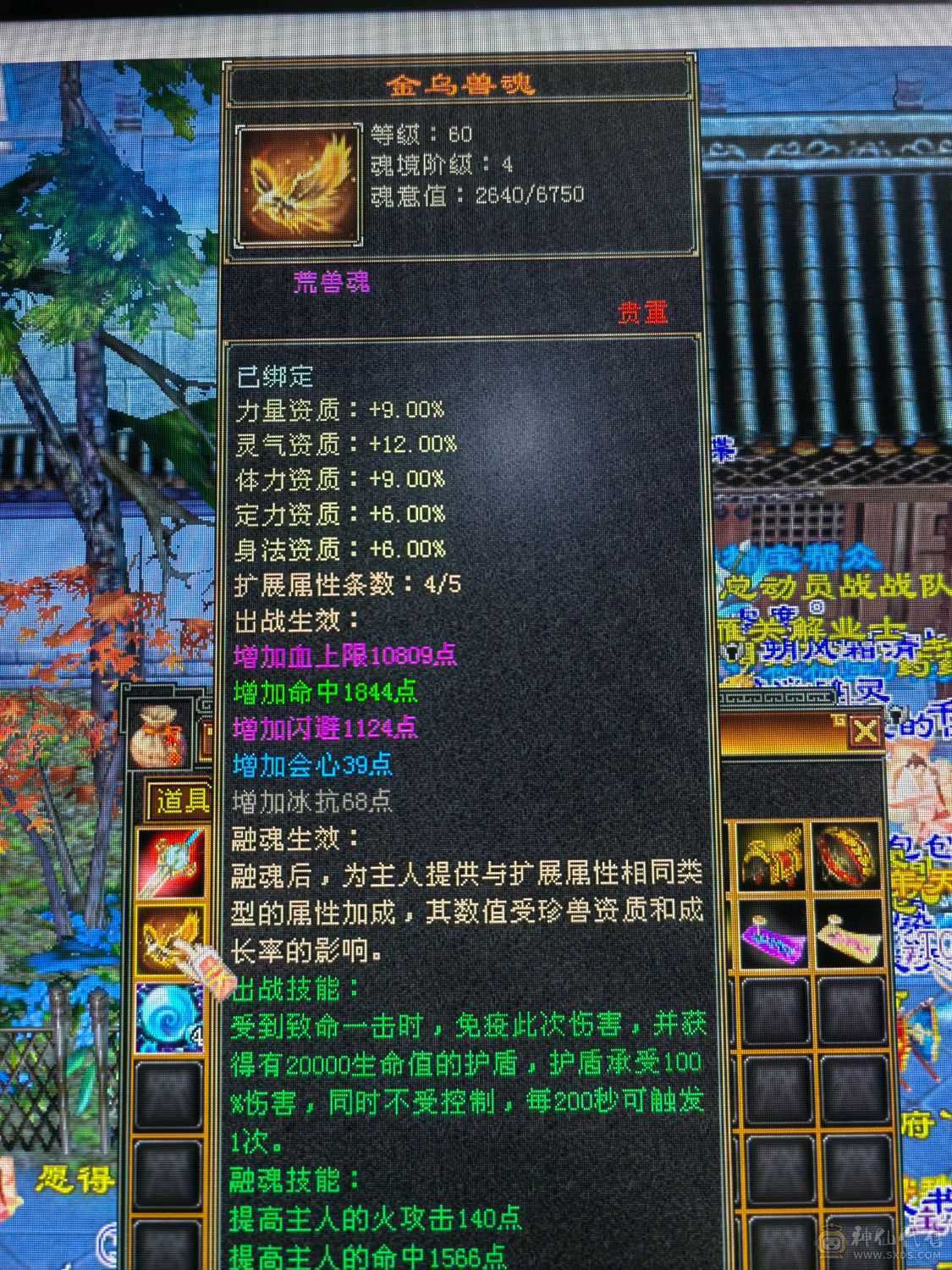 最便宜的五体五属账号！