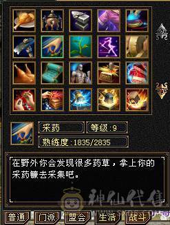 真正的极限满5号，没一颗4级石头