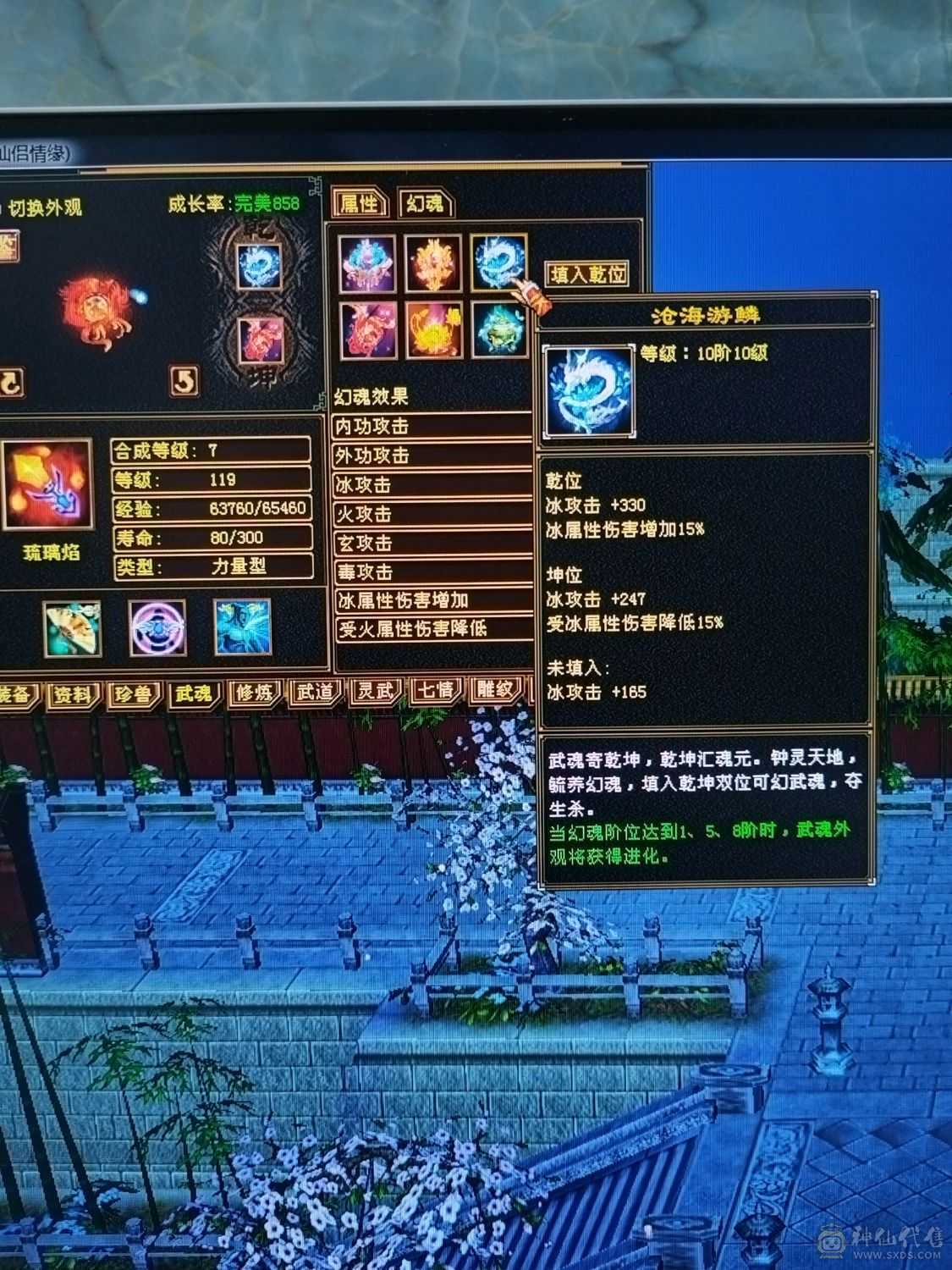 【晚晚推荐】三满号  裸面板      神兽4阶半     荒魂5阶      装备强化全部+9  