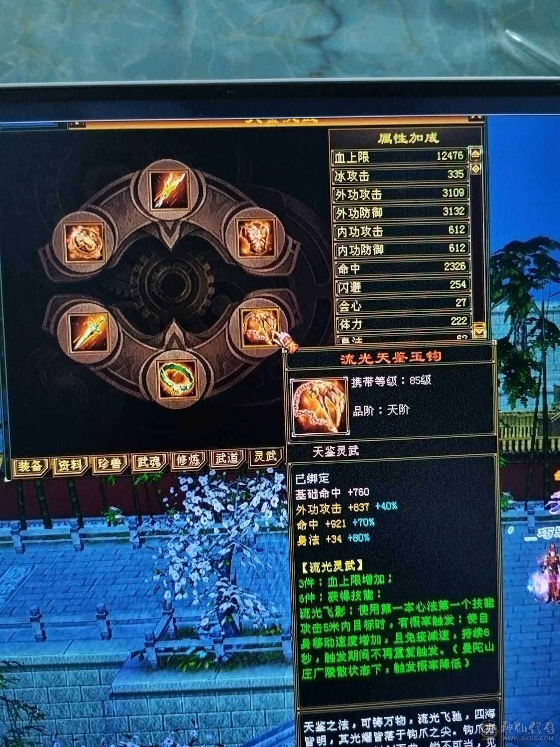 【晚晚推荐】三满号  裸面板      神兽4阶半     荒魂5阶      装备强化全部+9  