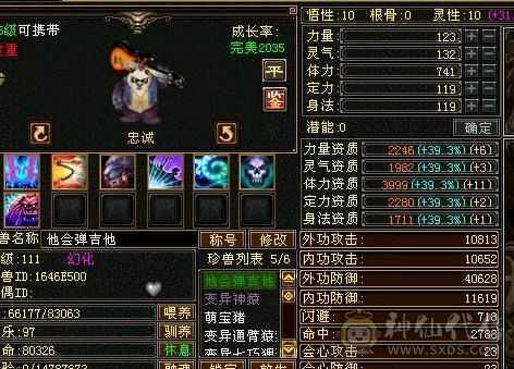 双十宝宝，26万血，二阶神兽，一千二属
