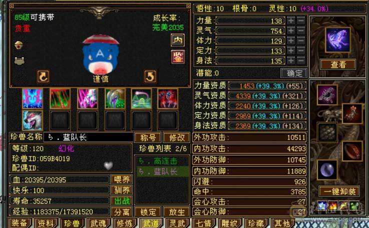 5属天龙，任务通刷