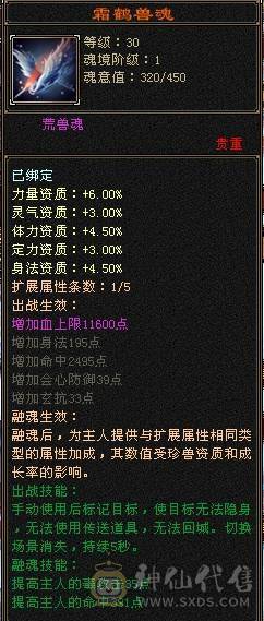 【晚晚推荐】极限6带13个7，火玄双修双抗，仓库还有6级宝石,四周年永久坐骑，带物品店