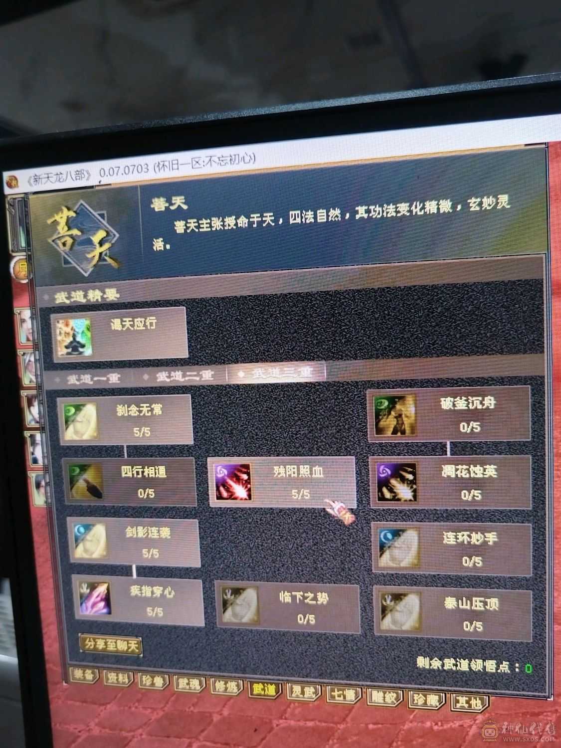 伤害高，三满，三修转逍遥也猛，新雕纹都更新了