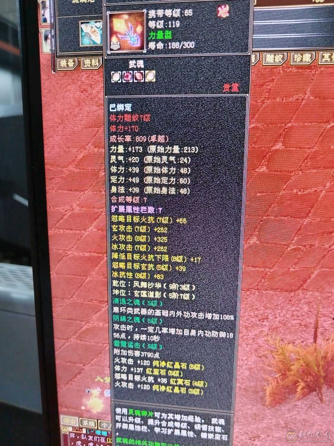 伤害高，三满，三修转逍遥也猛，新雕纹都更新了