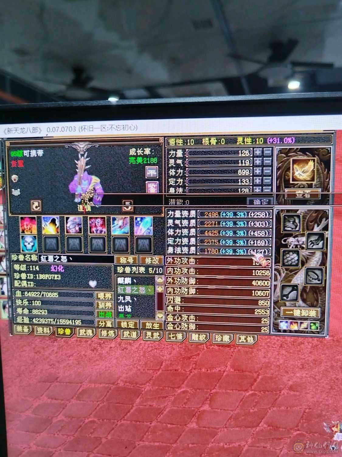 伤害高，三满，三修转逍遥也猛，新雕纹都更新了