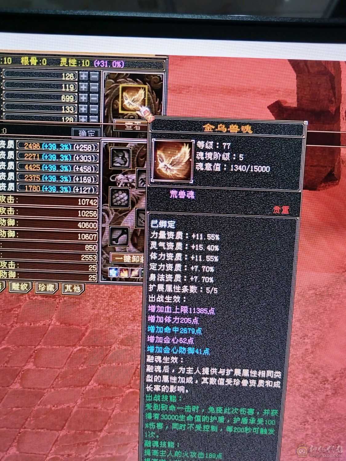 伤害高，三满，三修转逍遥也猛，新雕纹都更新了
