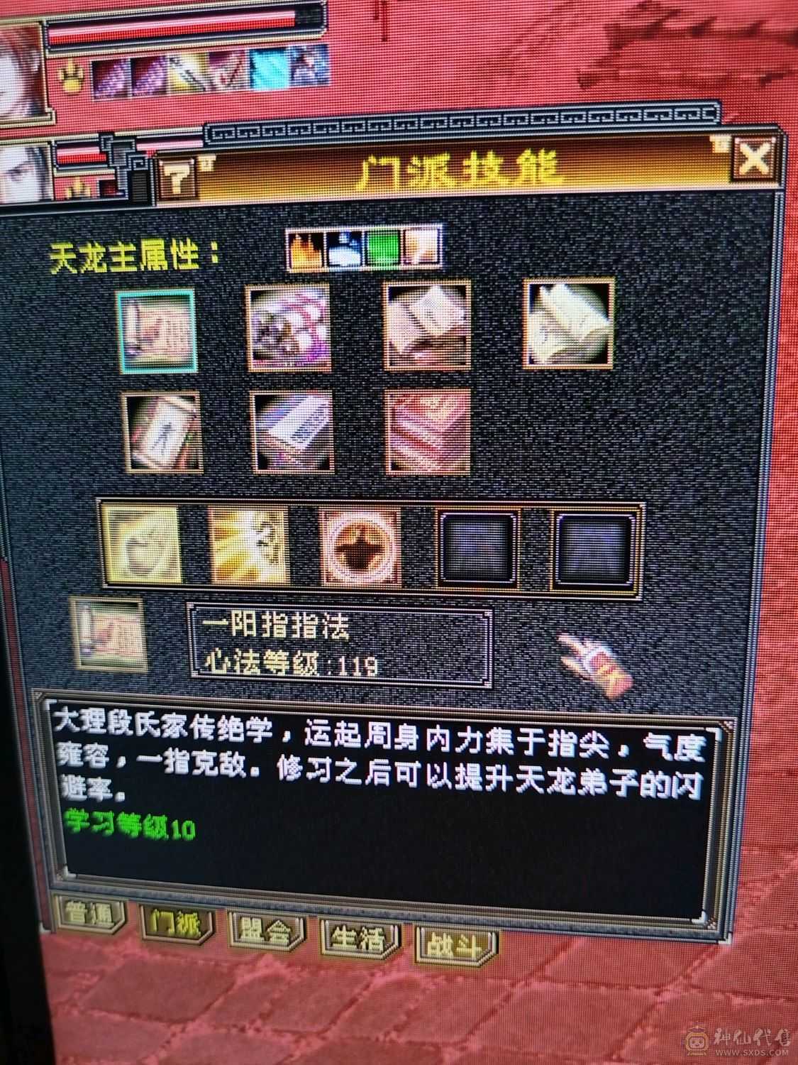 伤害高，三满，三修转逍遥也猛，新雕纹都更新了