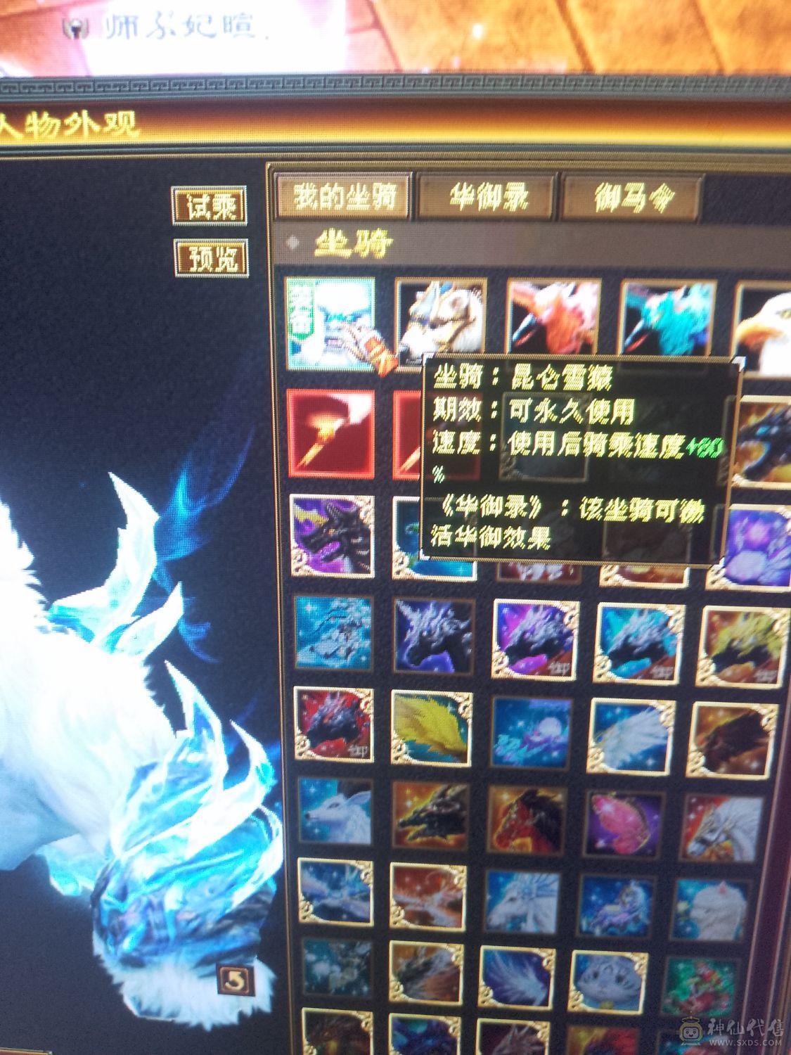 漂亮冰火抗峨眉稀有坐骑昆仑雪猿