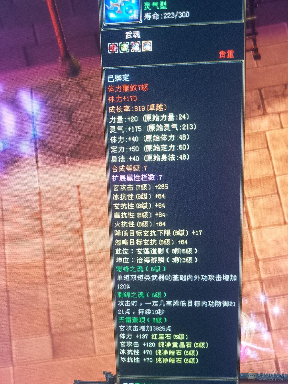 漂亮冰火抗峨眉稀有坐骑昆仑雪猿