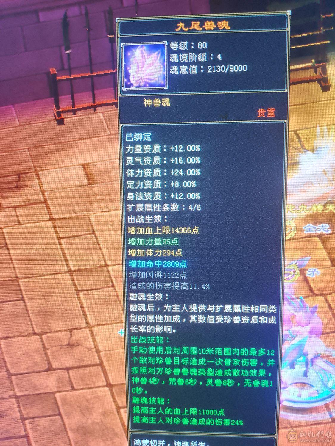 漂亮冰火抗峨眉稀有坐骑昆仑雪猿