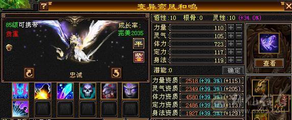 一手号，生活峨眉的天花板号！！
