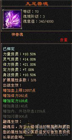 有时装有配饰9级背包