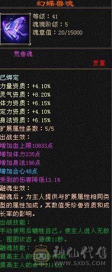 有时装有配饰9级背包