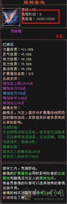 冰抗800 细节装备星宿！