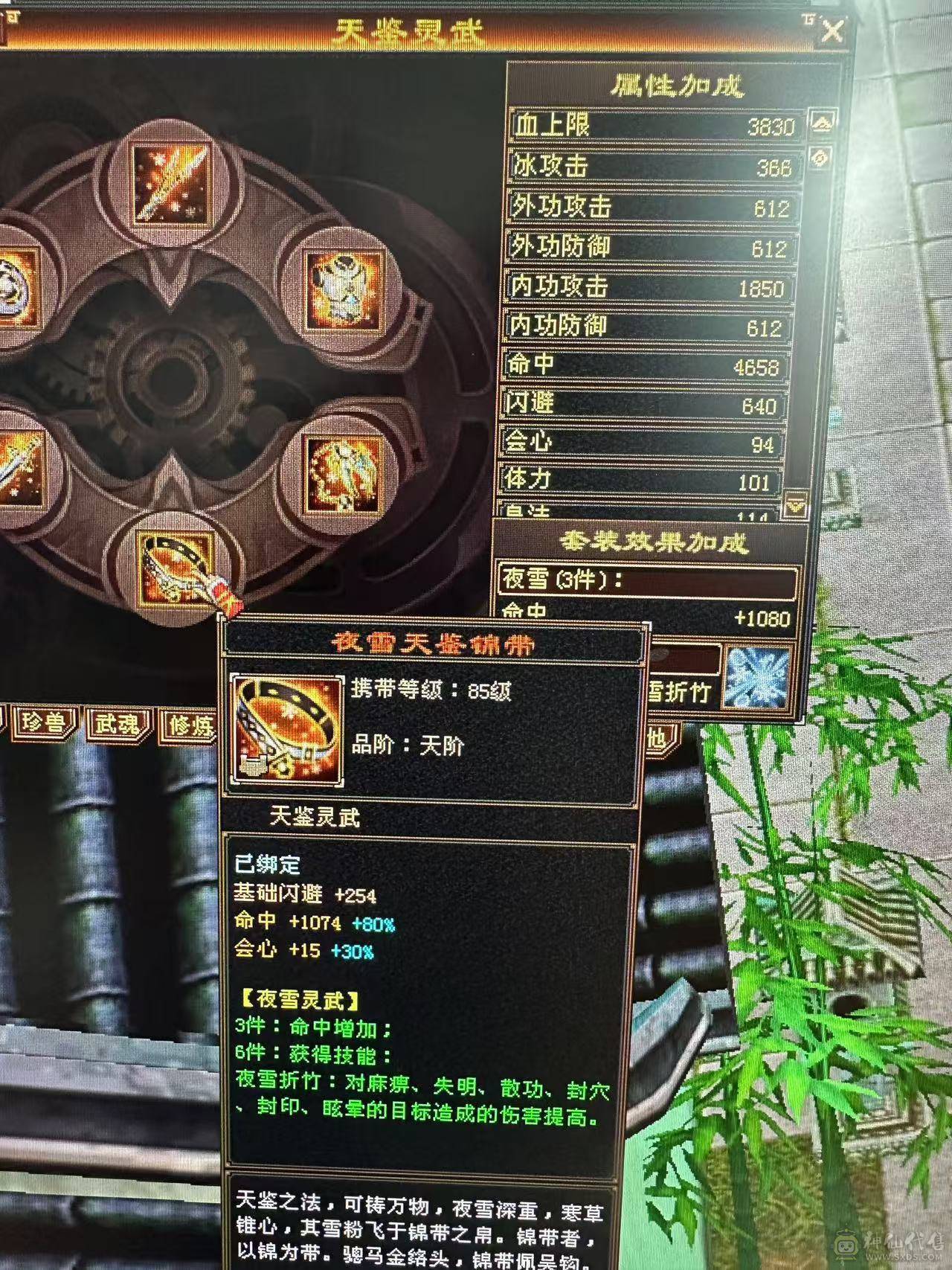 断桥天山，6800+属性，5阶半青龙，550+会心，7.2+命中。持续更新中