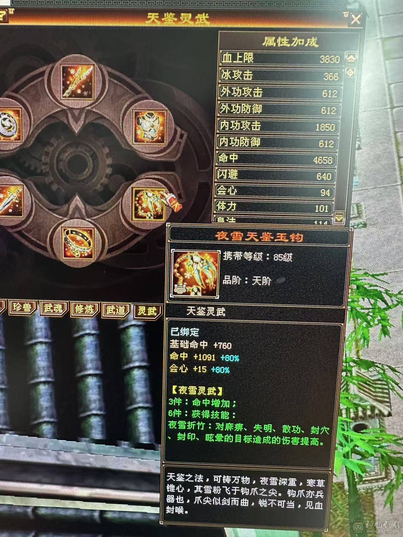 断桥天山，6800+属性，5阶半青龙，550+会心，7.2+命中。持续更新中