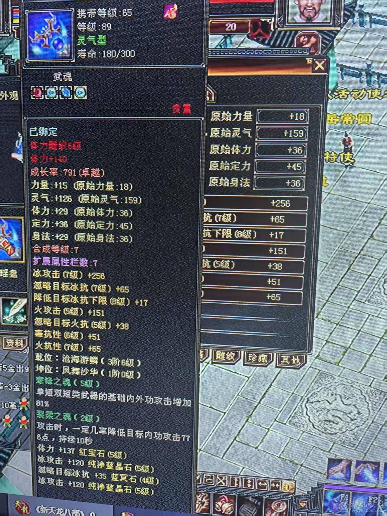 百事可乐推荐--------帅武当  玩武当就是帅 帅就是亮点