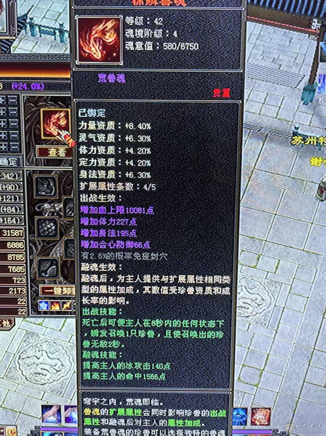 百事可乐推荐--------帅武当  玩武当就是帅 帅就是亮点