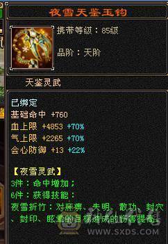 暴力输出武当。八雕带9雕文。无敌丹。12颗7级石头。内功10w.开仙风12w。