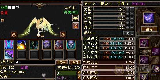 5体花瓶号