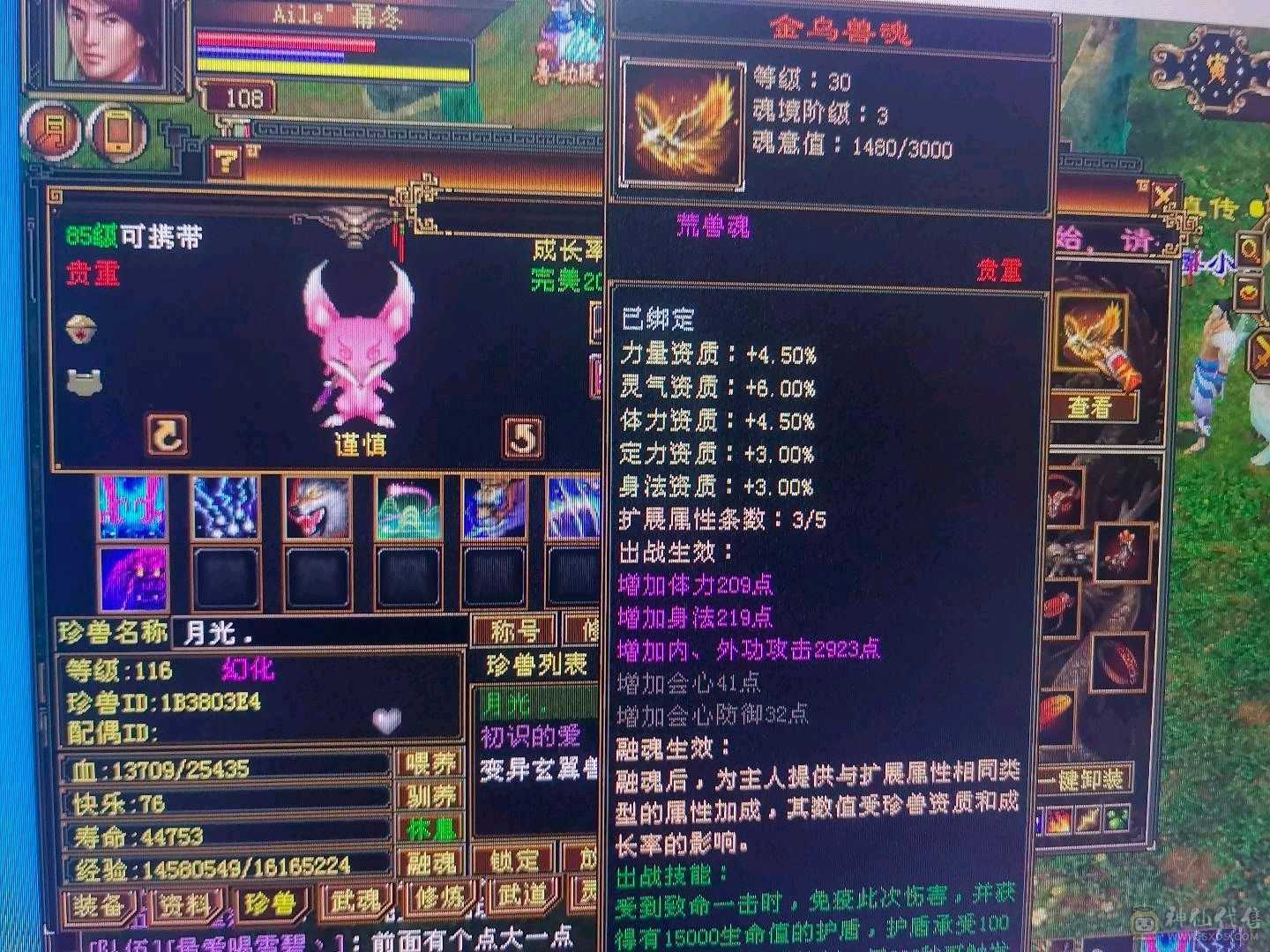 108逍遥等级号详细看图