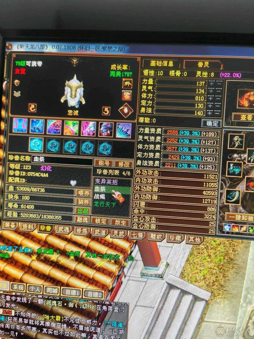 6带冰全5天山，38血，属性5700，直接秒6级号，衣服9间时装，