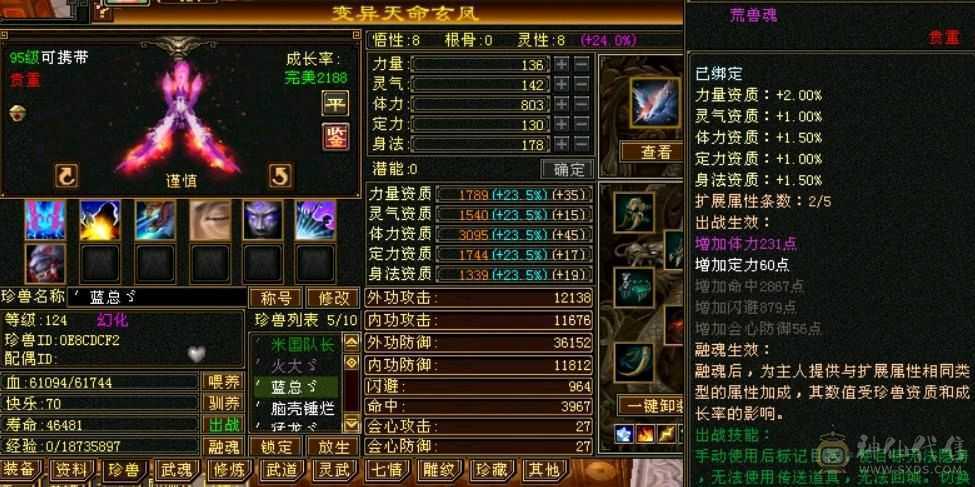 满五带六带八雕，完美四神