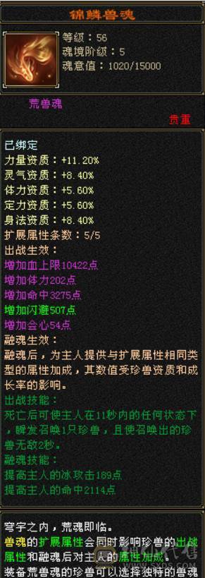 满4带5小天山副本刷马噶噶上电视