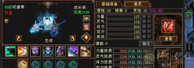 极限号  可摘星可气武当