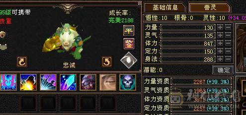 极限号  可摘星可气武当
