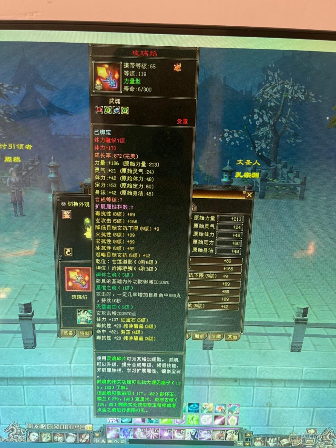 44+血神兽4级主属性3200打手峨眉