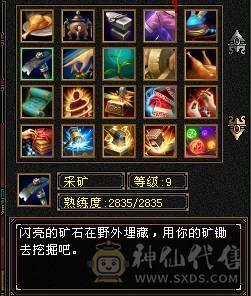 满4逍遥 9地9矿8药 心法全100 5荒2神半 副本好搭子