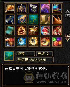 满4逍遥 9地9矿8药 心法全100 5荒2神半 副本好搭子