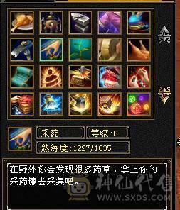 满4逍遥 9地9矿8药 心法全100 5荒2神半 副本好搭子
