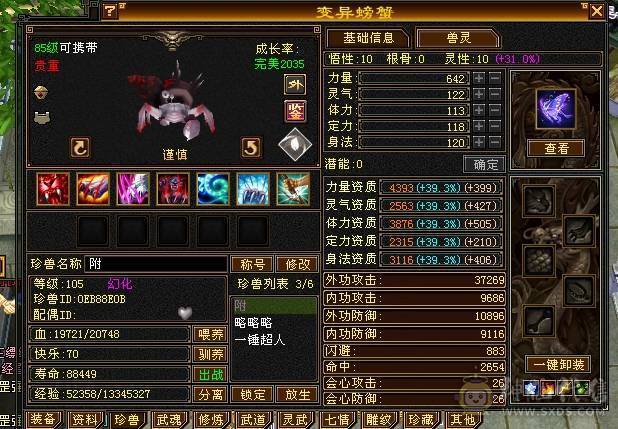 生活少林，带元宝，带所有
