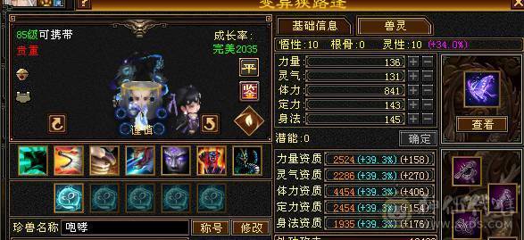四修四减总属性9000多，面板吃了5级精华