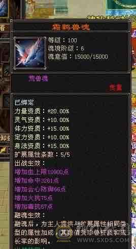 卡级全都认识的丐帮，断桥红熊王小龙虾，武道四加强丐帮