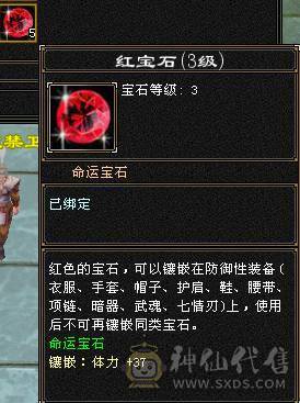 『夺命•推荐』5带6-火玄毒-三修丐帮 可转逍遥 副属性-火1325 玄936 玄抗486 51w血 2.2w蓝 命中5w 8雕-新雕文-精绘4级 强化+9 盟会技能-4级 带双十附体宝宝 衣服 
