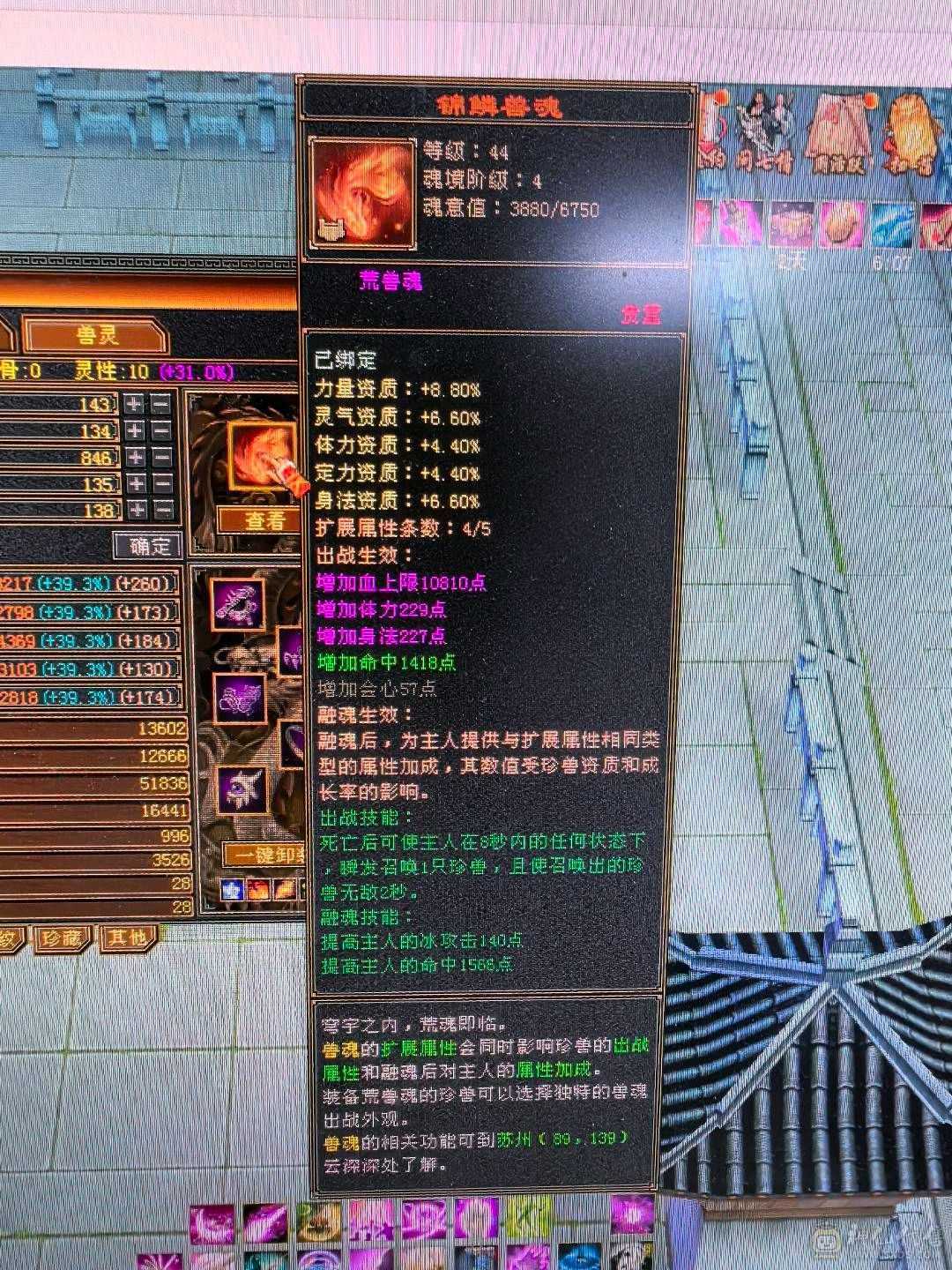 50多个5级石头，极品装备，持续更新中