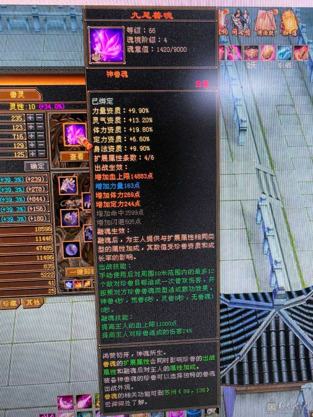 50多个5级石头，极品装备，持续更新中