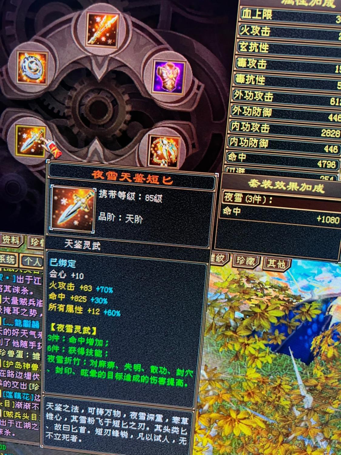 盟会9满五，没有宝宝