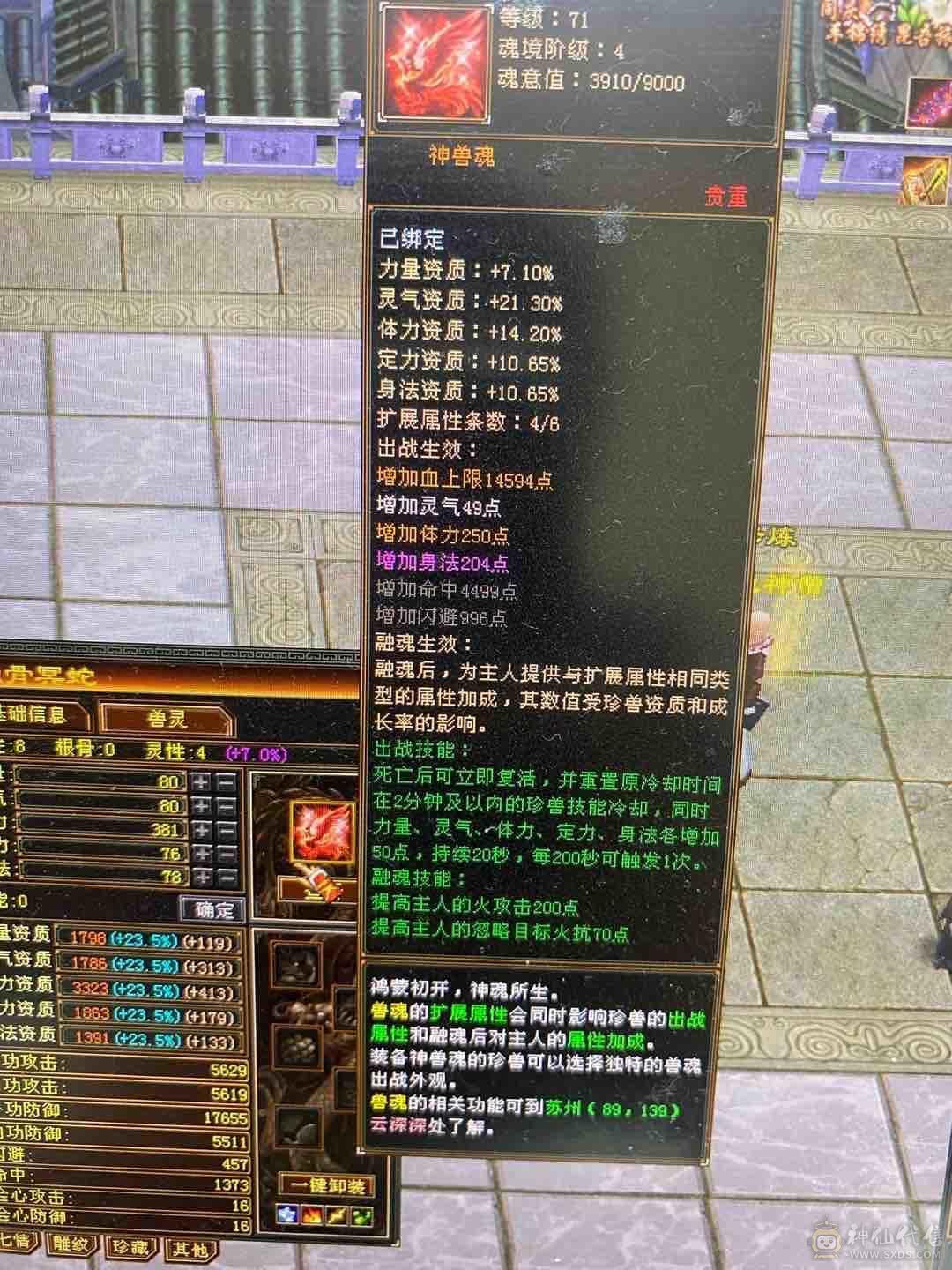 火5225毒1205冰626三修逍遥出，神仙平台购买