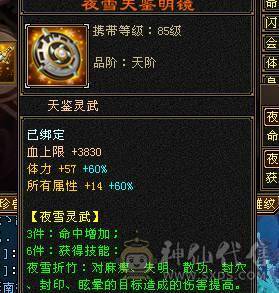 精品6级逍遥 防具全是6，极品装备，神兽马上4持续更新，盟会7级，细节拉满，自己看图。喜欢就买